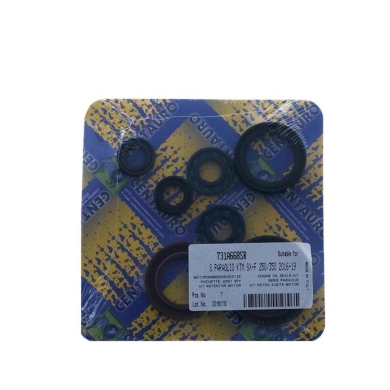 CENTAURO Motor Simmerringsatz für KTM SX-F 250/350 16-18, EXC-F 250/350 17-18, Husqvarna FC 250/350 16-18, FE 250/350 17-18 Motor Simmerringsätze ZAP-Technix-Shop