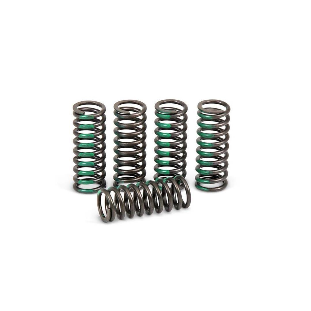 Pro Circuit Kupplungsfedern Kawasaki KXF 450 06- Zulauf ZAP-Technix-Shop