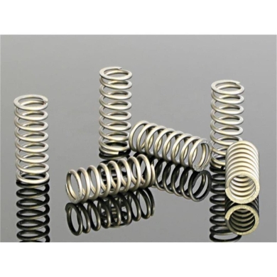 Kupplungsfedernset CRF 450 02-08 Kupplungsteile ZAP-Technix-Shop