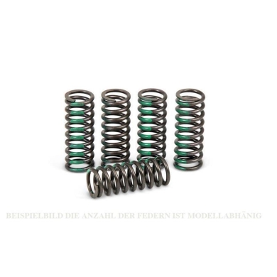 Pro Circuit Kupplungsfedern Honda CRF 450 13- 17 Motorteile ZAP-Technix-Shop