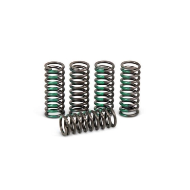 Pro Circuit Kupplungsfedern Kawasaki KX 85 01- 15 Motorteile ZAP-Technix-Shop